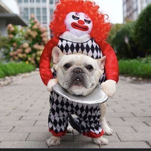 Size Medium, Scary Clown Dog Costume